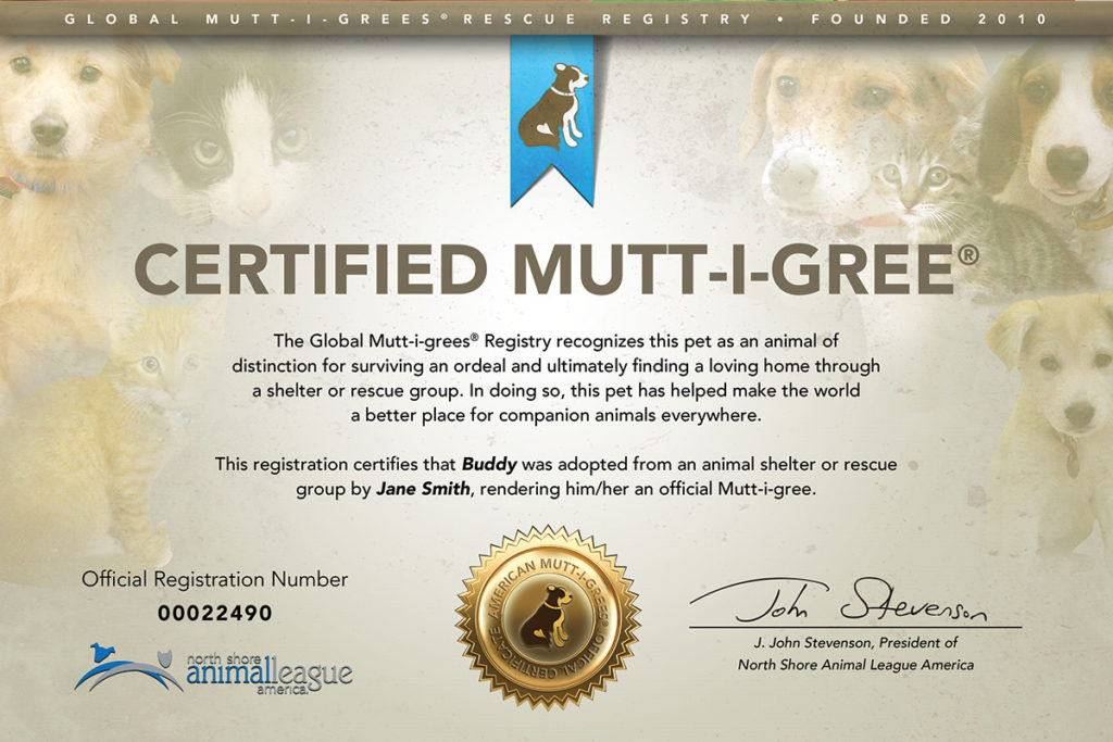 Mutt-i-grees Get Their Papers