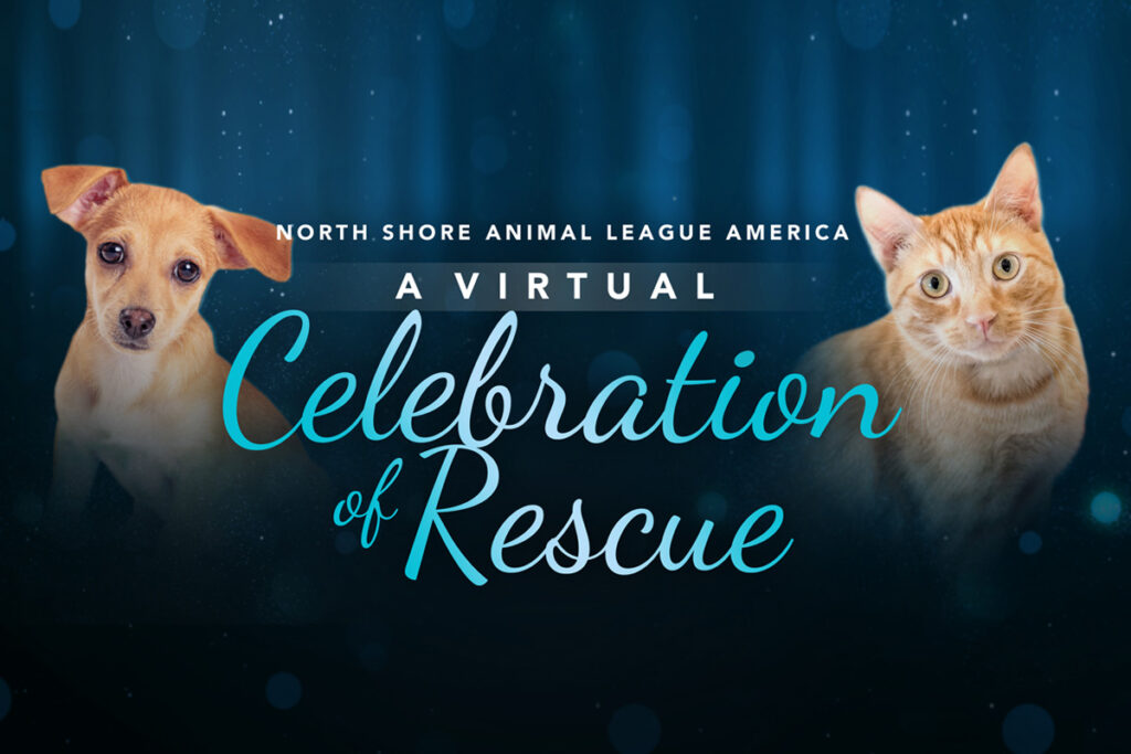 A Virtual Celebration of Rescue